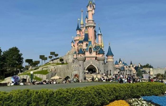 Disneyland Paris: ¿qué impacto tiene la fijación dinámica de precios implementada por el parque de atracciones?