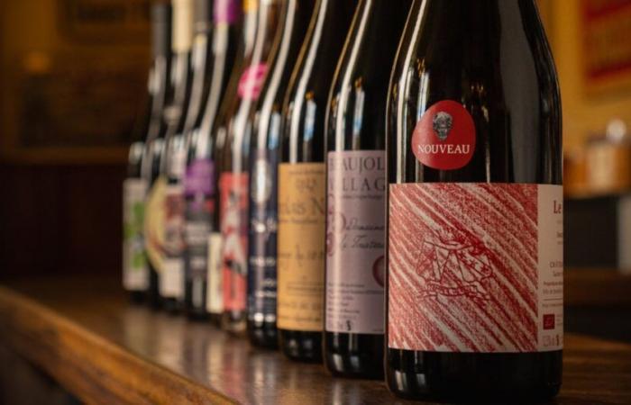 Beaujolais Nouveau: ¿a qué sabe la cosecha 2024? 20 añadas para descubrir como prioridad