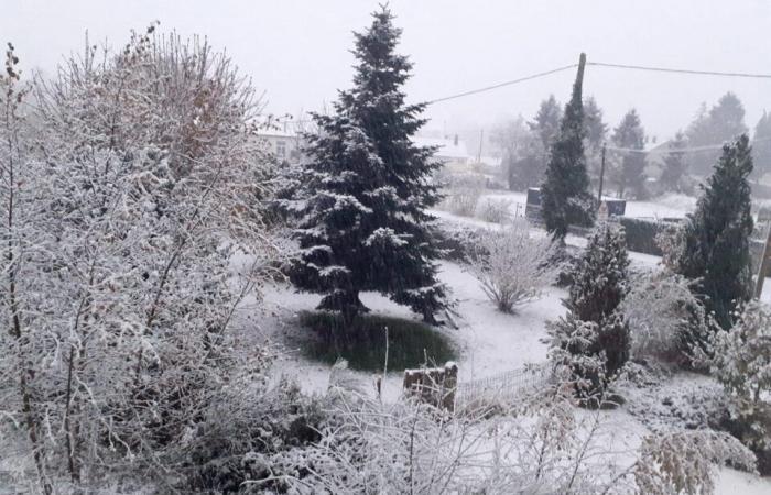 EN FOTOS. La tierra de Flers se despierta bajo la nieve: una decoración navideña