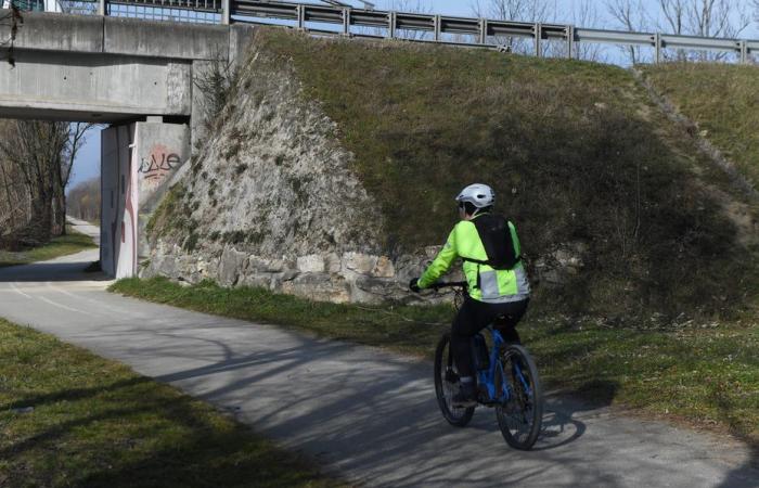 ¿Por qué tanta malevolencia hacia los usuarios de bicicletas?