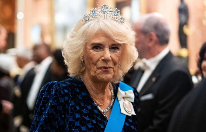 Camilla Parker Bowles: tras una enfermedad, la esposa de Carlos III reaparece y pone a todos de acuerdo