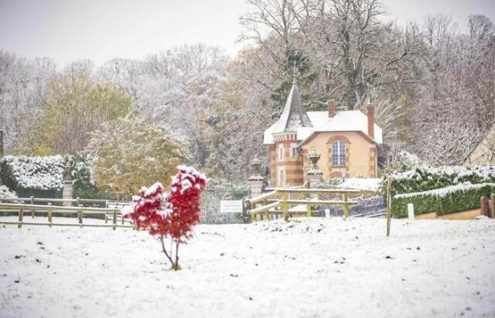 EN FOTOS. Rennes, París, Estrasburgo… Media Francia bajo la nieve tras la tormenta