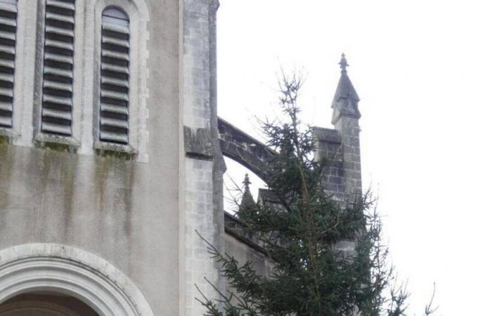 El árbol de Navidad de esta localidad del Loira Atlántico es objeto de debate