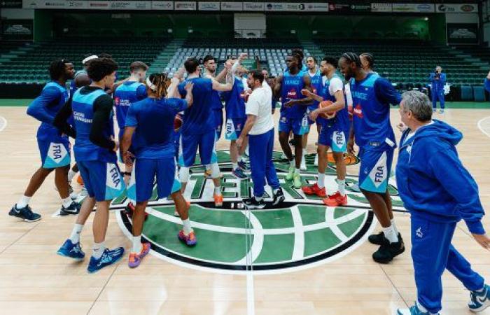 Comienza la nueva era de los Blues • Basket USA