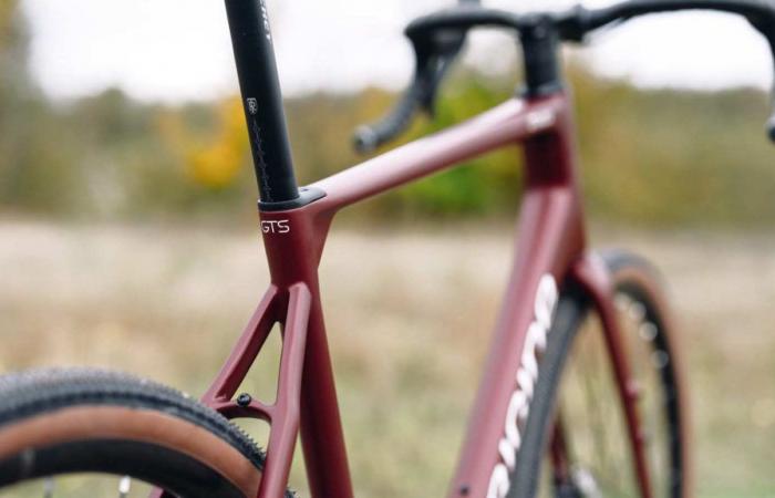 una nueva gama de bicicletas de carbono más económicas, inaugurada por la Axxome de carretera y la Graxx gravel