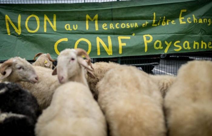 El Ministro de Agricultura es esperado en una granja en Pas-de-Calais.