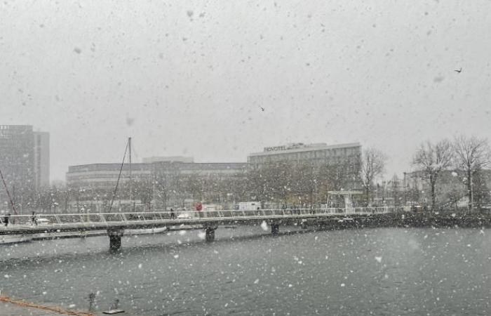 Informe meteorológico. Alerta naranja en Sena Marítimo: finalmente llega la nieve a Le Havre