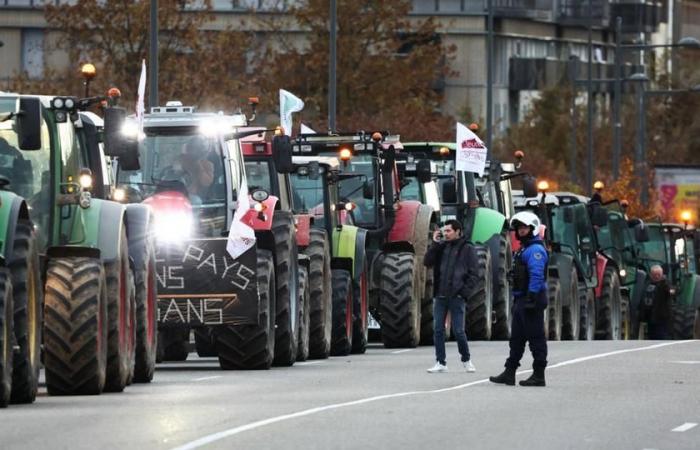 En directo – La ira de los agricultores: la Ministra Annie Genevard se presenta sobre el terreno, la Coordinación Rural sigue movilizada