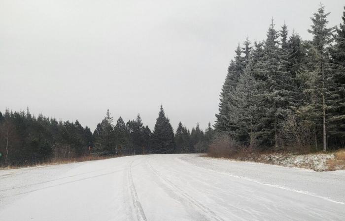 Occitania. Aquí la nieve cae desde 500 metros… y seguirá nevando todo el día