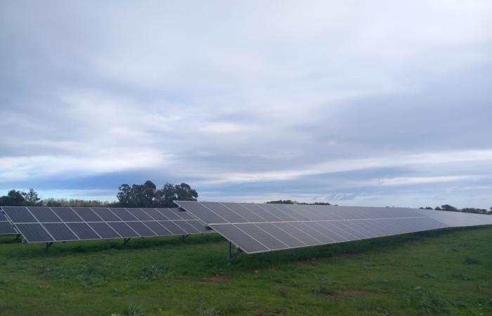 Semana de la Industria: visita a Córcega Sole y presentación de la placa Francia 2030 – Francia 2030 – Noticias