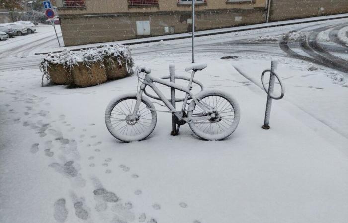 EN FOTOS. La tierra de Flers se despierta bajo la nieve: una decoración navideña