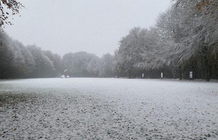 EN FOTOS. La tierra de Flers se despierta bajo la nieve: una decoración navideña