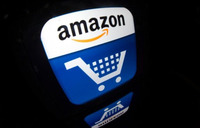 “Amazon se atribuye el poder de interpretar la ley en beneficio propio y de pisotear la ley aprobada por el Parlamento soberano”