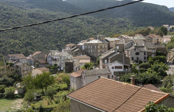 Una fuga en un depósito de fuel oil de 2.000 litros provoca la contaminación del río Bevinco