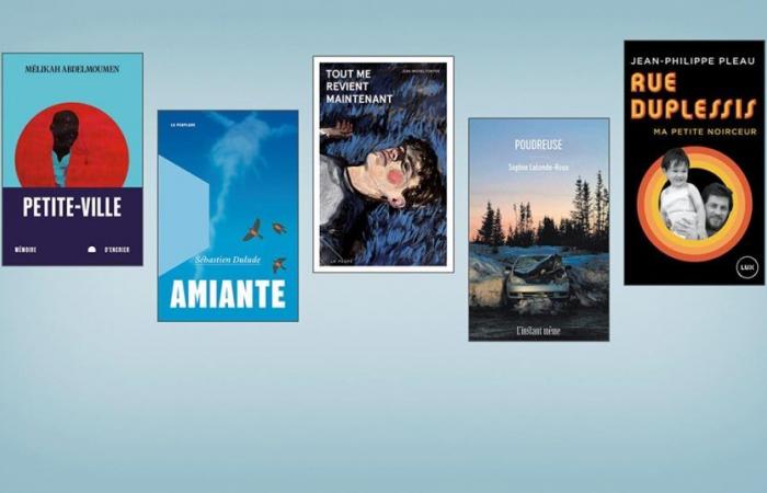 Vamos por el Premio Literario para estudiantes de secundaria — Revue Les libraires