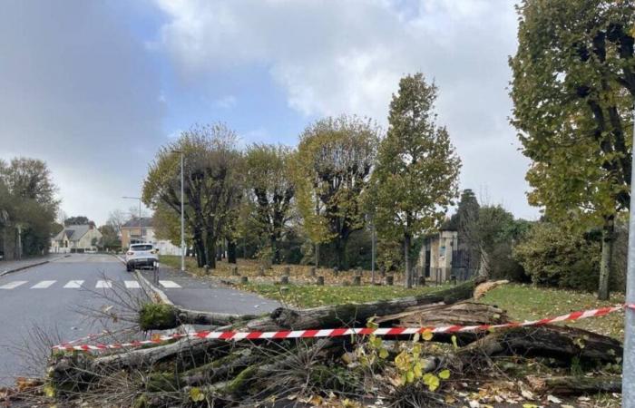 En FOTOS. La tormenta Caetano sopla con fuerza en Loira Atlántico