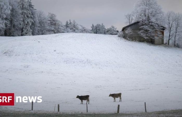 Inicio del invierno en Suiza: ¿dónde nevará hoy? -Noticias