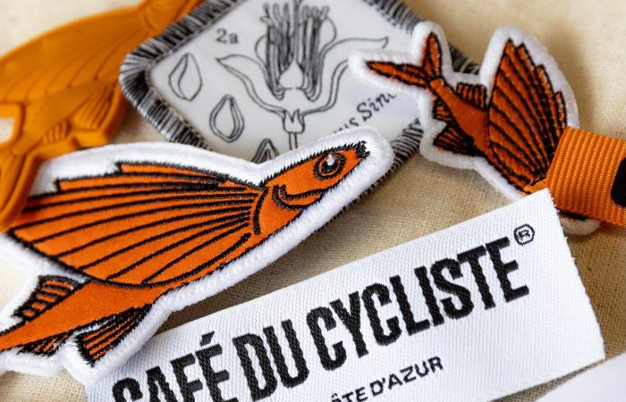 Certificación Corporación B para Café du Cycliste