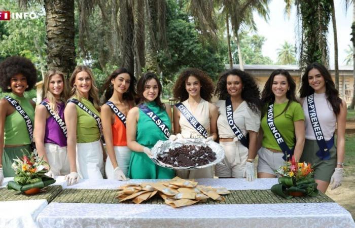 Miss Francia 2025: ¿cuántos errores habría cometido al dictar el cuestionario de conocimientos generales?