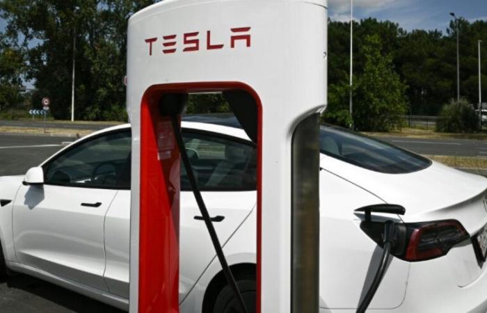 Accidente fatal en París: Tesla llamó a modificar su sistema de frenado de emergencia