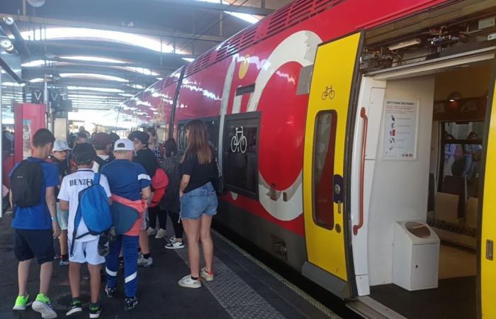 Interrupciones en el Gard: pocos trenes, la huelga podría continuar hasta Navidad