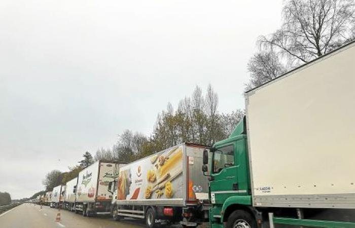 Al detenerse en la RN12 cerca de Morlaix debido a la nieve, los camioneros aprovechan para “socializar”