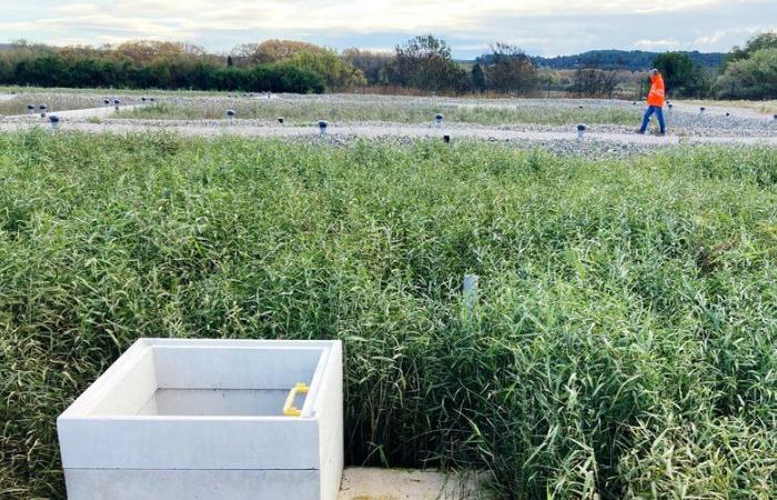 La nueva depuradora mejorará la calidad de las aguas de baño en Hérault