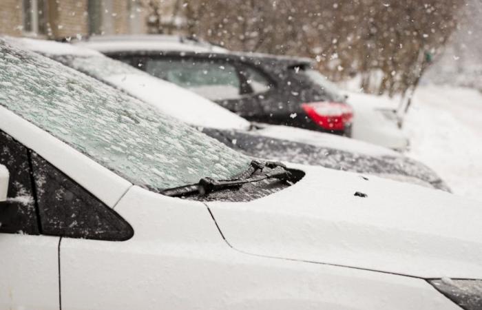 Los Alpes de Alta Provenza en alerta por nieve y hielo