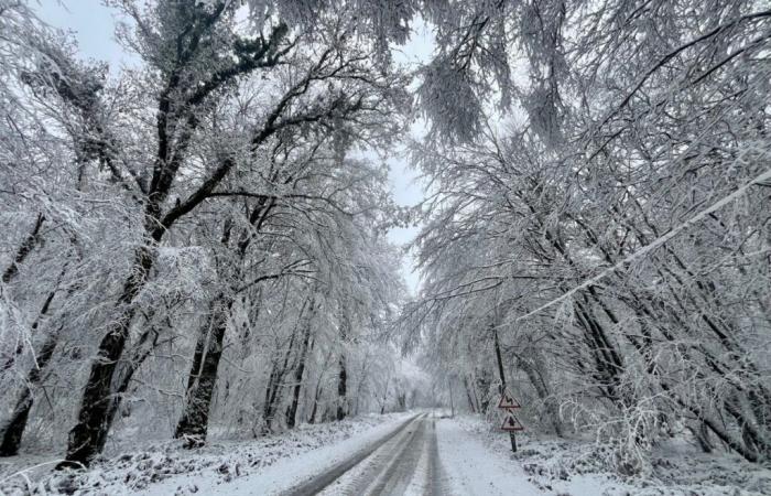 un día muy raro de nieve en noviembre