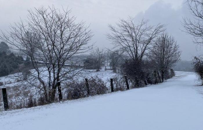 Sí, utilizamos la palabra ‘nieve’ en el pronóstico para la próxima semana.