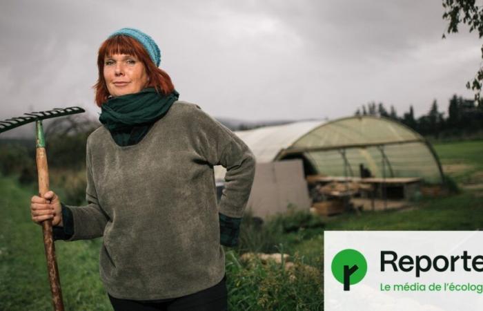 la reforma RSA debilita a los agricultores