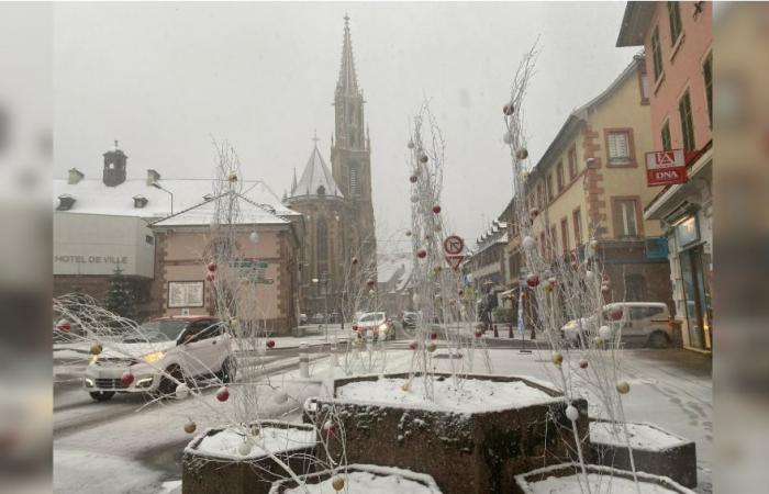 EN FOTOS – la nieve cae en grandes copos en la llanura de Alsacia