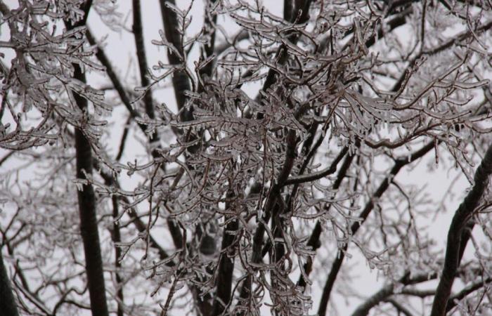 Alerta amarilla en Mosela por el primer episodio de nieve y hielo de 2024