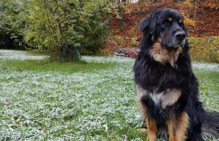 Llega la nieve al Marne y al Aisne