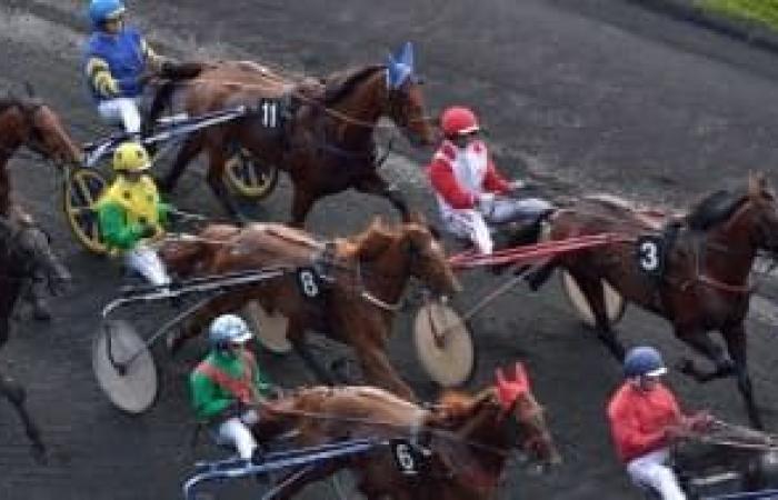 Predicciones de carreras de caballos para el sábado 23 de noviembre de 2024