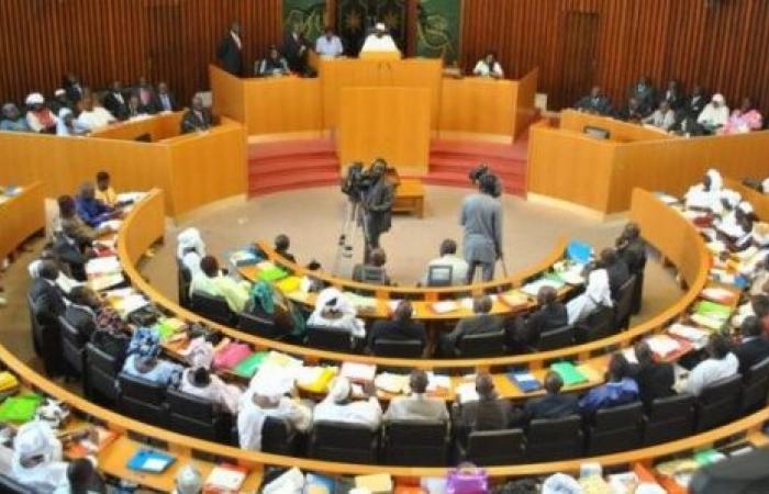 Aquí están los flamantes diputados de la asamblea nacional