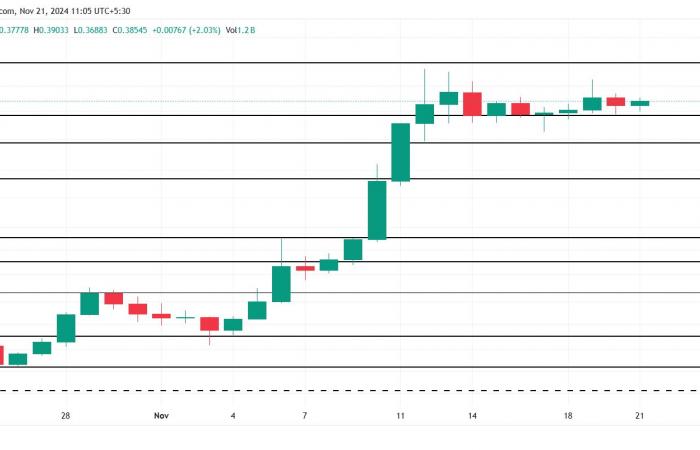 El precio de Dogecoin no ha terminado de subir