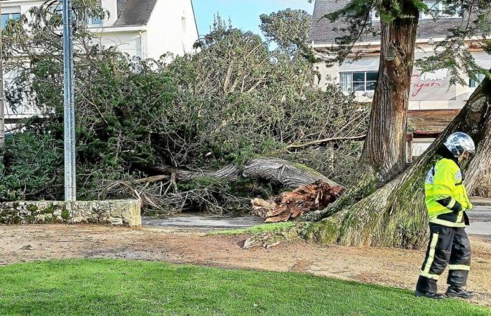 Inundaciones, árboles arrancados de raíz, cables eléctricos rotos… La tormenta causa muchos daños en Carnac