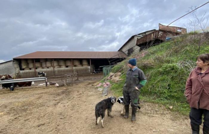 Alto Loira. En esta granja de Rosières, “hace seis meses que no nos pagamos el sueldo”