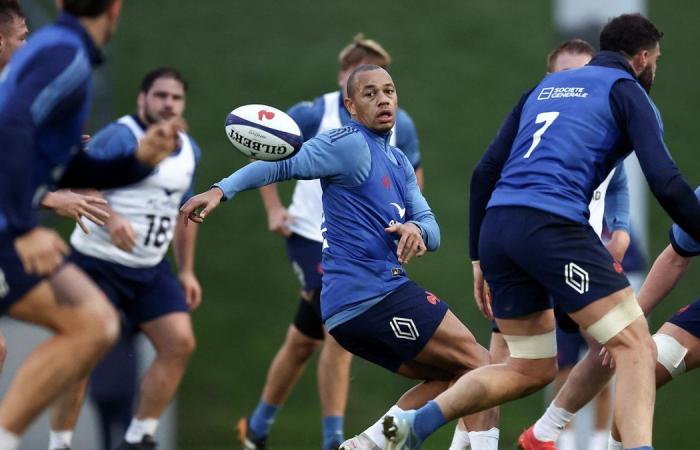 Francia-Argentina | Dupont, Fickou, Alldritt, Ollivon, Marchand, Jelonch: ¿Dónde están los seis líderes de los Bleus?