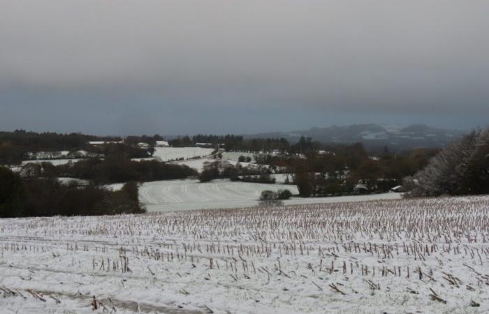 EN FOTOS. En Côtes-d’Armor, varios centímetros de nieve cubrieron el campo