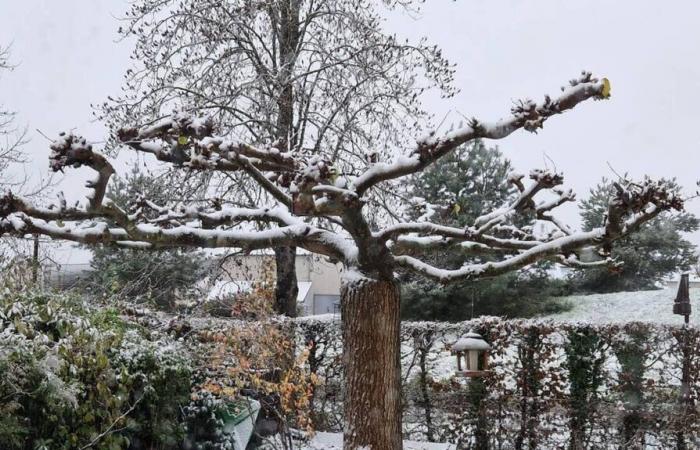 EN FOTOS. Este jueves, Ille y Vilaine amaneció bajo la nieve