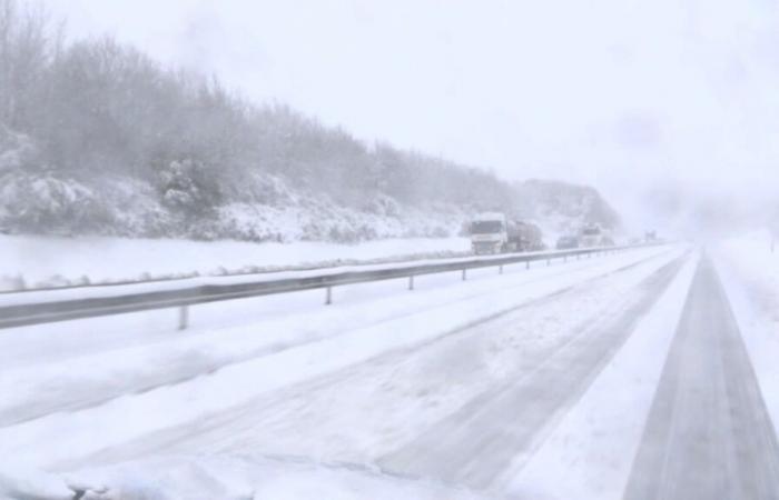 Automovilistas atrapados durante varias horas en la A84 en el Canal de la Mancha