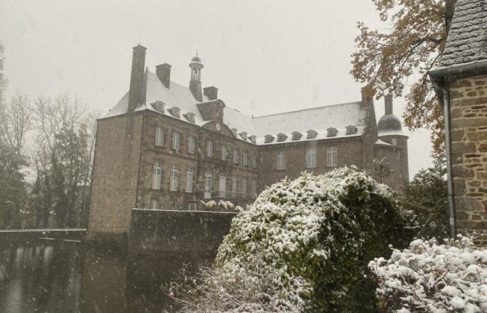 EN FOTOS. La tierra de Flers se despierta bajo la nieve: una decoración navideña