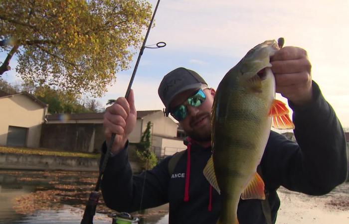 Practican la “street fishing” o pesca urbana y se han convertido en campeones del mundo por equipos