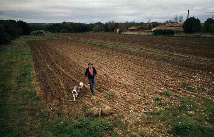 la reforma RSA debilita a los agricultores