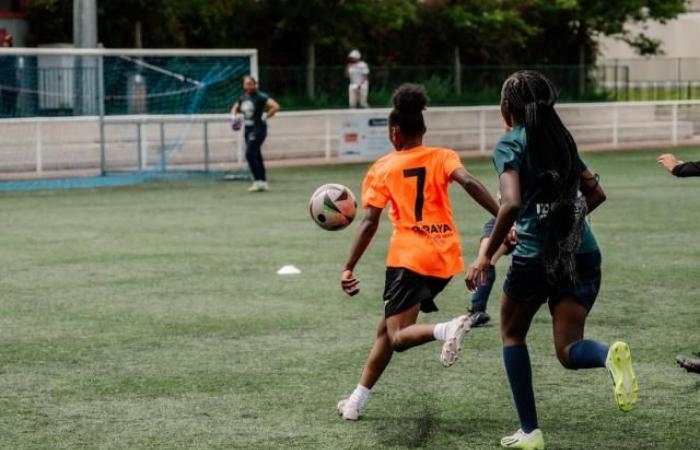 Un equipo femenino de la región de Toulouse víctima de insultos racistas y sexistas