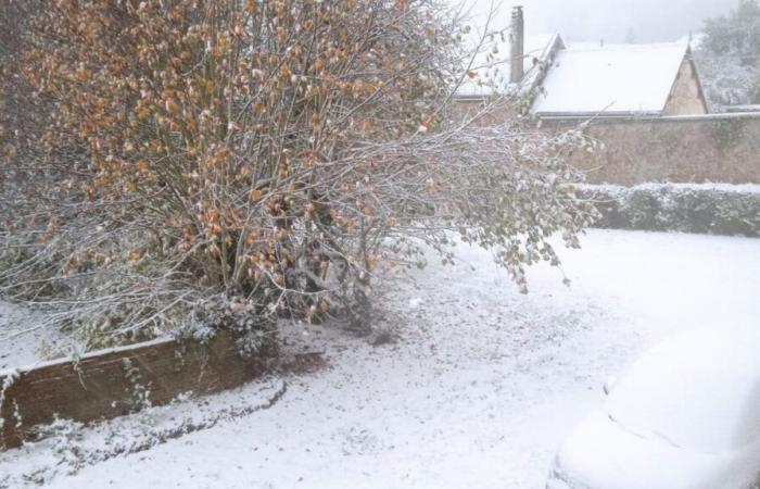 170.000 clientes sin electricidad por la nieve y el viento