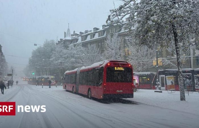 Ya nada funciona: la primera nevada paraliza el transporte público en Berna – Noticias