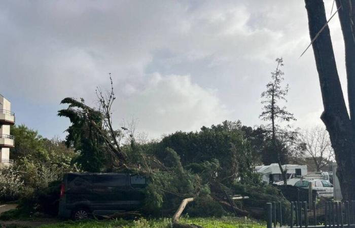 Tormenta Caetano. Al mediodía, 26 intervenciones de los bomberos en Loira Atlántico